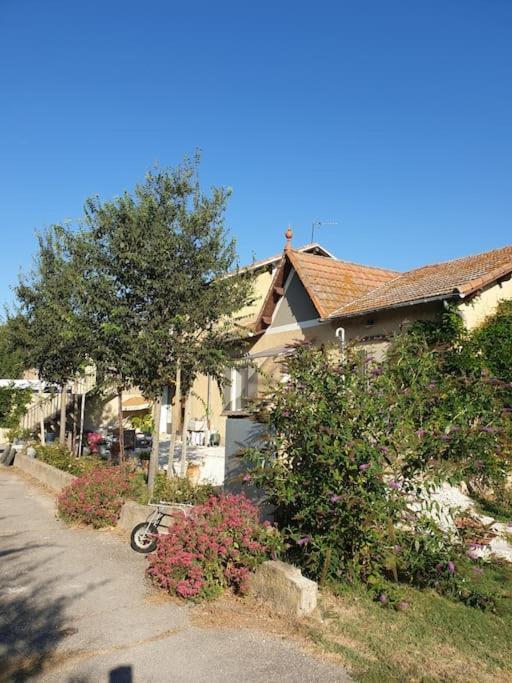 St Remy De Provence, La Maison Du Berger Saint-Andiol Buitenkant foto