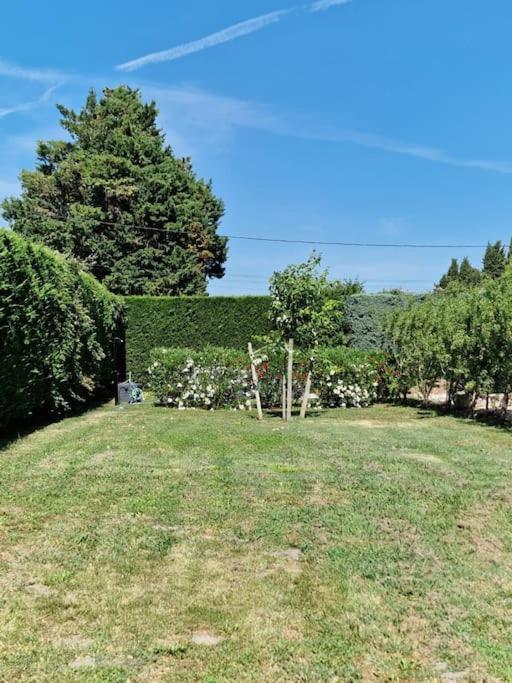 St Remy De Provence, La Maison Du Berger Saint-Andiol Buitenkant foto